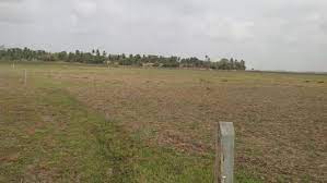 1200 sq. ft- Buy land near at a good price in Sundarpada Bhubaneswar