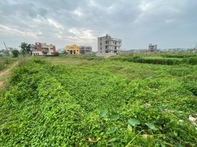 1200 sq. ft-Land for sale in Jagannath Nagar Bhubaneswar