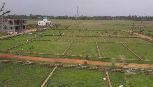 1200 sq. ft-Low-cost land for sale in Tamando Bhubaneswar