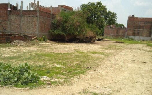 1500 sq. ft-Low-cost land for sale in old town Bhubaneswar