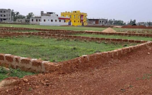 1742 sq. ft-Land for sale in Hanspal Bhubaneswar