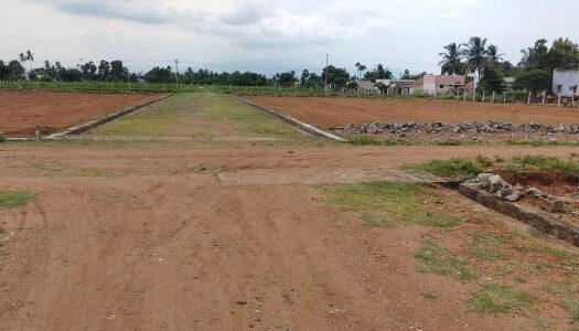 2000 sq. ft- Plot price in Chintamaniswar Bhubaneswar