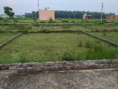 2200 sqft-Best land price in Chintamaniswar Bhubaneswar1