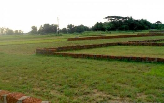 2400sq .ft-Land for sale in Tamando Bhubaneswar1