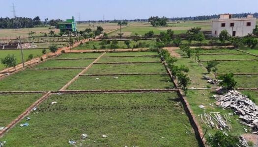 4800 sqft-Low cost Land in Chandaka Bhubaneswar