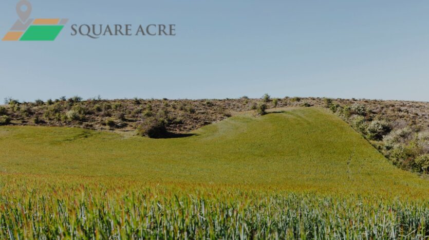 Agriculture Land For Sale In Airport Khorda Bhubneswar-4950 sq. ftAgriculture Land For Sale In Airport Khorda Bhubneswar-4950 sq. ftAgriculture Land For Sale In Airport Khorda Bhubneswar-4950 sq.