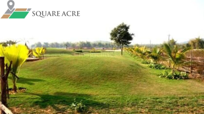 1500 sq.ft-Plot for sale Near ODM School in Patia Bhubaneswar