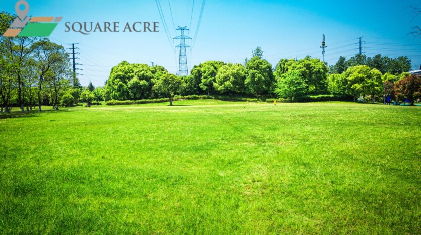 1050 sq.ft Land for Sale Near Kalinga Stadium in IRC Village Nayapalli Bhubaneswar