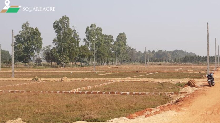 1000 sqft Plot In Balianta, Bhubaneswar